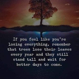 Meet your Posher, Omar